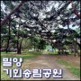 [백패킹/캠핑] 밀양 기회송림공원 초보캠핑 ~ 애견동반