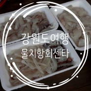 강원도 여행 / 회뜨기 좋은곳 / 물치항회센타 / 그린호