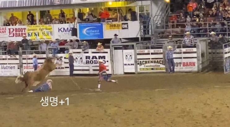 [미국 일상] 카우보이 로데오 경기 직관 후기! 아이오와주 시드니/US Sidney Iowa Rodeo : 네이버 블로그