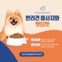 송도글로벌평생학습관 주관 반려견마사지와 펫티켓 강의 출강!