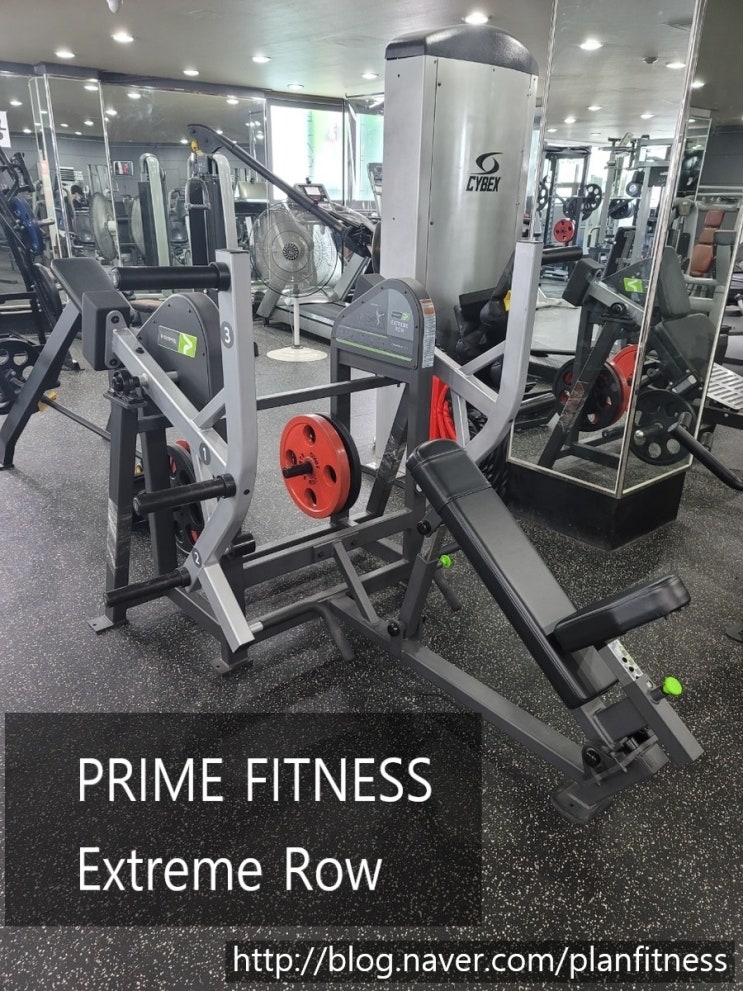 The PRIME Plate Loaded EXTREME ROW. . This piece like all of our