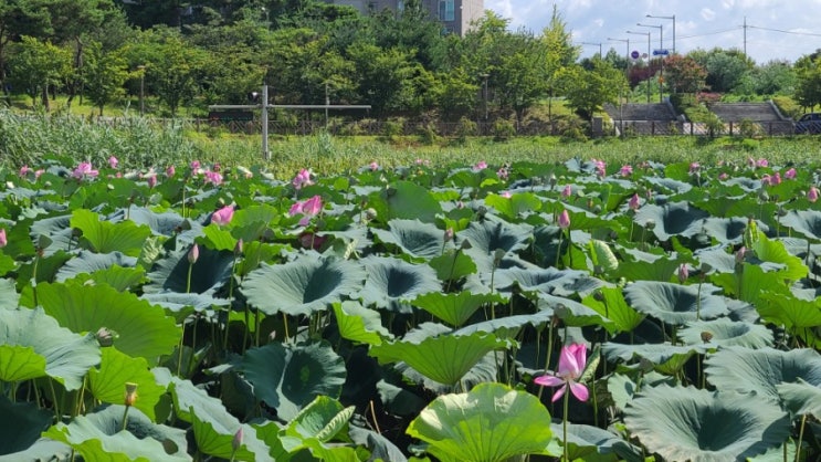 전북 완주 산책코스 지사울공원