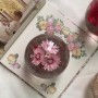 [sold out]Vintage Pink Rhodanthe(Helipterum) manglesii Paperweight