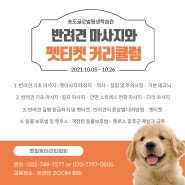 반려견 마사지와 펫티켓 - 송도글로벌평생학습관 교육