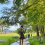 [서울근교여행 1박2일] 양평 세미원연꽃축제/리틀포레/사람없는계곡