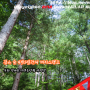 #180 봉화 청옥산자연휴양림 야영장 - 깊은 숲 4박5일간의 베이스캠프 © 러버볼