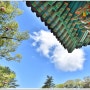 세계유산 산사, 한국의 산지승원 중 마곡사(Magoksa Temple) in 공주, 한국