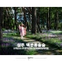 대한민국 사진여행지 가볼만한곳, 경북 상주 보랏빛 맥문동 솔숲
