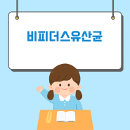 비피더스유산균 대장에 좋은 음식