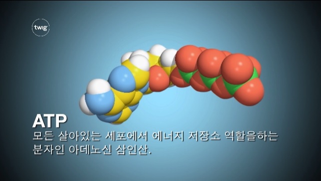 신체 에너지의 원천 ATP - 저장, 무산소, 유산소 : 네이버 블로그