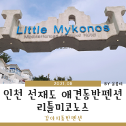 인천 선재도 애견동반펜션 리틀미코노스 후기 (2021년 8월)