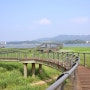 서천 여행 / 신성리갈대밭 보령 대천해수욕장