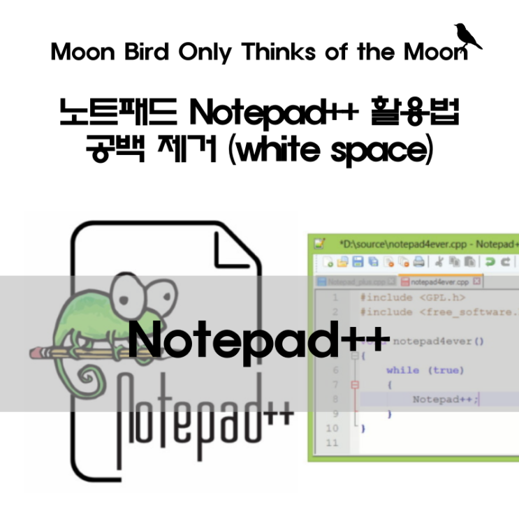 아직도 메모장? 노트패드 Notepad++의 다양한 활용법 (2) - 공백제거 white space : 네이버 블로그