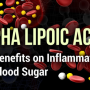쿠마™] 알파리포산의 효능과 추천제품, 섭취량 (Alpha Lipoic Acid)