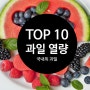 과일 열량 Top 10 어떤 과일 칼로리가 가장 높은거지?