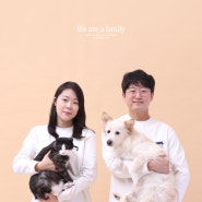동탄 더난리_반려동물스튜디오_고양이랑 강아지랑