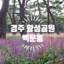 경주 황성공원 _ 보라보라한 맥문동이 가득 / 여름 데이트 추천