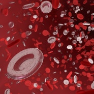 백혈병:미리 예방하는 방법
