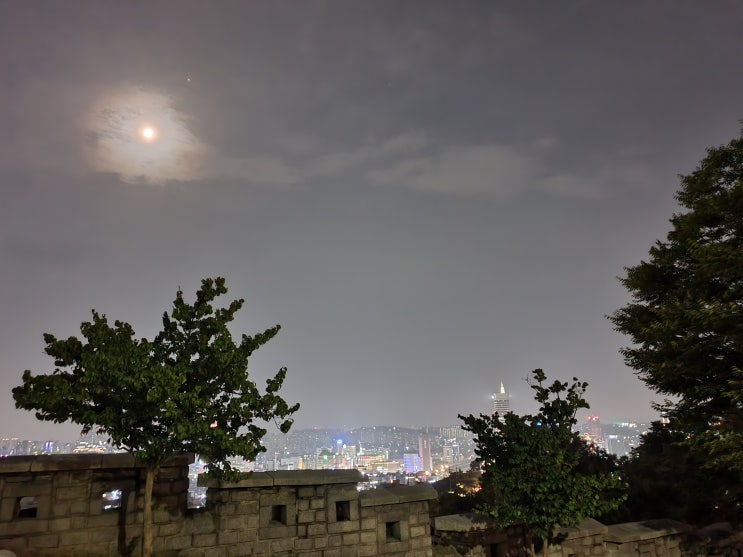 서울 걷기좋은길 명륜당 문묘 은행나무와 이화동 낙산공원