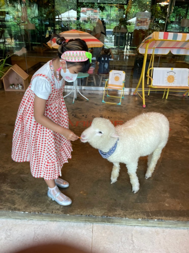 진주 애니멀프렌즈 Animal Friends 동물먹이주기 체험...