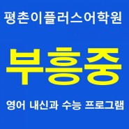 [안양 부흥중] 평촌학원가 영어학원 2021년 안양 부흥중학교 3학년 중간고사 보고서