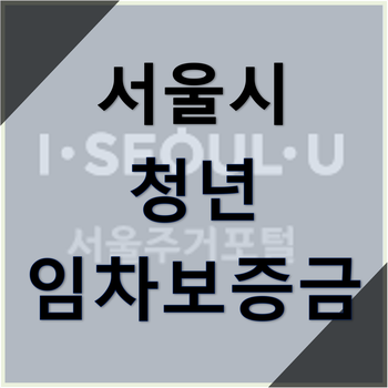 서울시 청년 임차보증금 대출, 이자 지원 사업 대상부터 서류까지 간단정리 : 네이버 블로그
