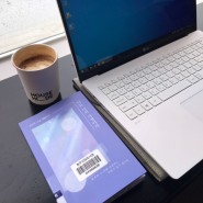 엘지 노트북, 그램 17인치 1년 사용후기 / 세로줄 현상, 액정수리