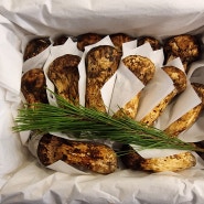 21년 자연산 송이버섯 추석선물 가격 보관법먹는법 손질법과 파는곳 추천