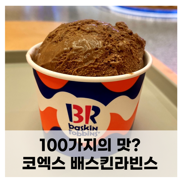 맛이 아닌 100가지 맛을 볼 수 있는 배스킨라빈스 파르나스몰점