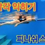 수영대회 기록단축 수영기초 자유형 접영 피니쉬동작에 도움되는 피니쉬스컬링 드릴