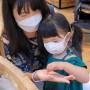 [담양 여행] 아이와 함께하는 곤충과의 교감🌱 담양 곤충박물관 방문 후기