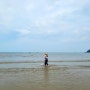 보령가볼만한곳 , 서해바다 아이와 해루질 하기 좋은 용두해수욕장 (feat. 솔밭해안가펜션)