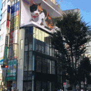 일본 신주쿠 고양이 3D 전광판광고 : 크로스 신주쿠 비전