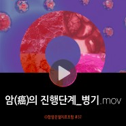 [영상] 고주파온열암치료 알아보기03 - 암의 병기