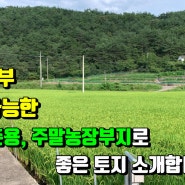 경상북도 영천시 고경면 삼귀리, 농지원부 발급 가능한 주말농장용 토지입니다(영천토지, 영천귀촌, 영천주말농장,영천땅)