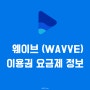 아이유의 웨이브(WAVVE) 이용권 요금제 정보 알아 보기