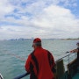 첫 쭈꾸미낚시 오늘조황-5시간도 순삭하는 배 위에서의 힐링타임! 즐거움!
