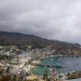 [미국 여행] 카탈리나 아일랜드(Catalina Island)