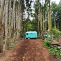 제주 안돌오름 비밀의숲 사진촬영 명소