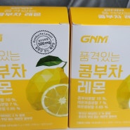 콤부차 비교 티젠콤부차 레몬 VS GNM콤부차 레몬맛