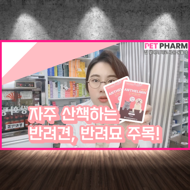 #내부구충제(안텔민) : 네이버 블로그