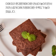 고소애 브라우니 상세페이지