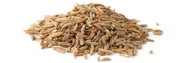 전세계인이 애용하는 향신료 Cumin(큐민,커민) 또는 쯔란의 재배방법 등 설명 : 네이버 블로그