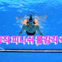 물의 감각 극대화 배영 피니쉬 스컬링 하는 방법