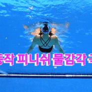 물의 감각 극대화 배영 피니쉬 스컬링 하는 방법