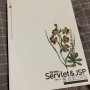 처음 해보는 Servlet & JSP 웹 프로그래밍 [리뷰]