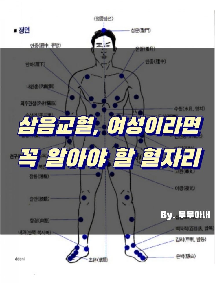 삼음교혈, 여성이라면 꼭 알아야 할 혈자리 : 네이버 블로그