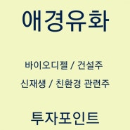 애경유화 주가 / 배당 / 전망 / 바이오디젤 / 친환경 / 신재생 / 애경케미칼 / 투자포인트