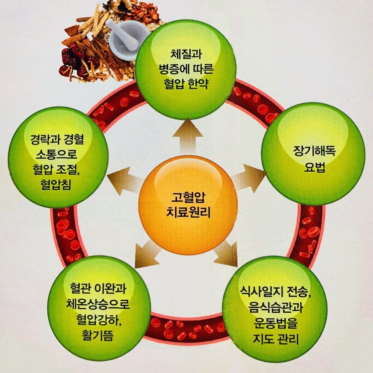 : 네이버 블로그