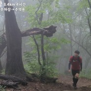 강원도 인제 방태산자연휴양림 주억봉 최단코스 등산코스 한국최대자연림 100대명산